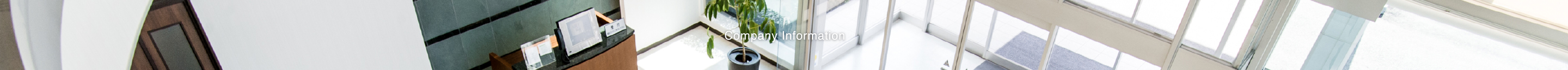 Company Information